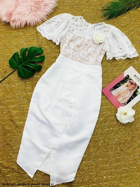 Đầm Thun Phối Ren Sang Trọng - D2477